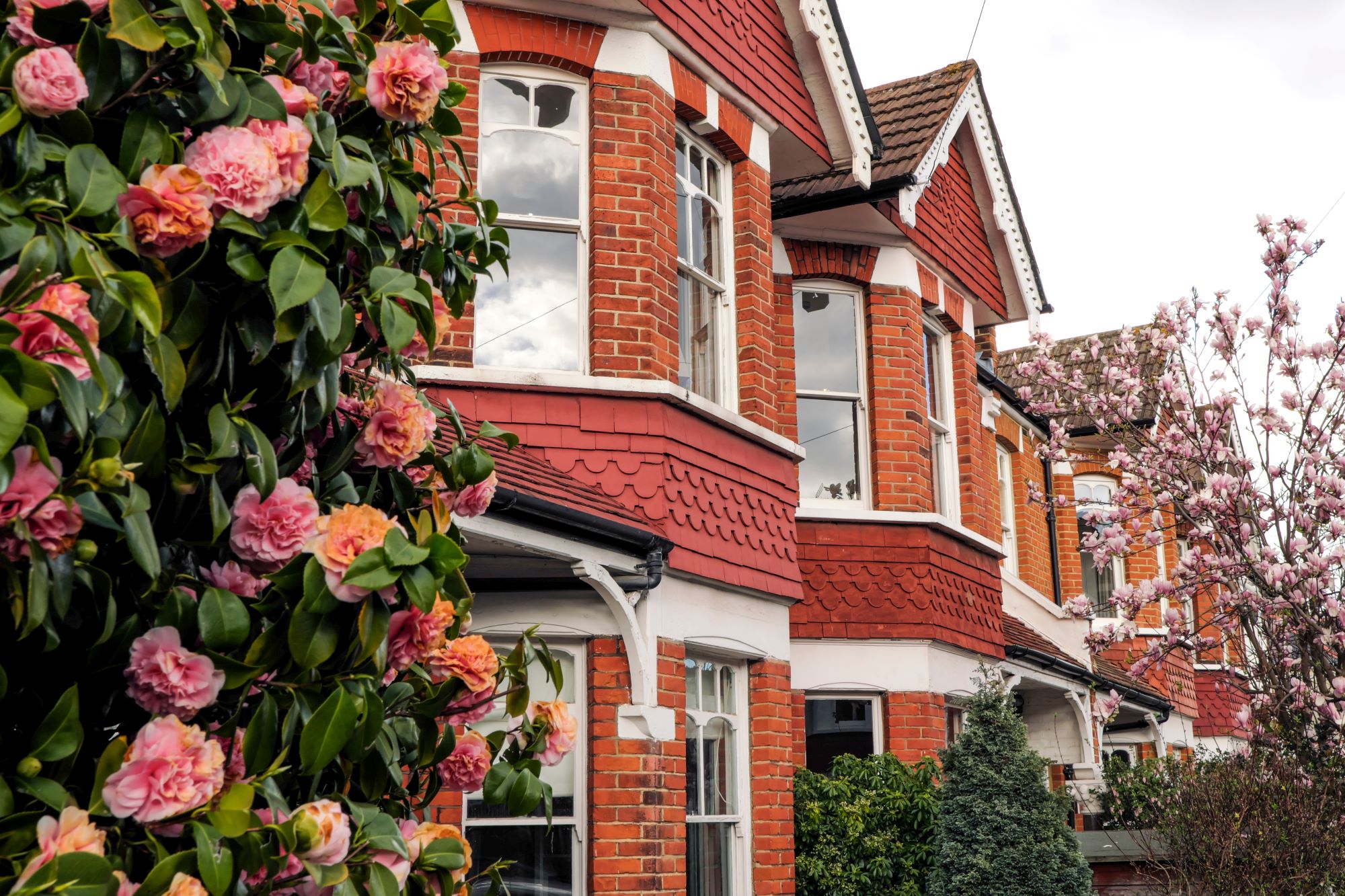 photo of terrace houses with pink flowers outside
                        
