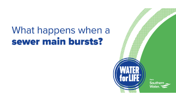 Thumbnail for a video explaining what happens when a sewer main bursts