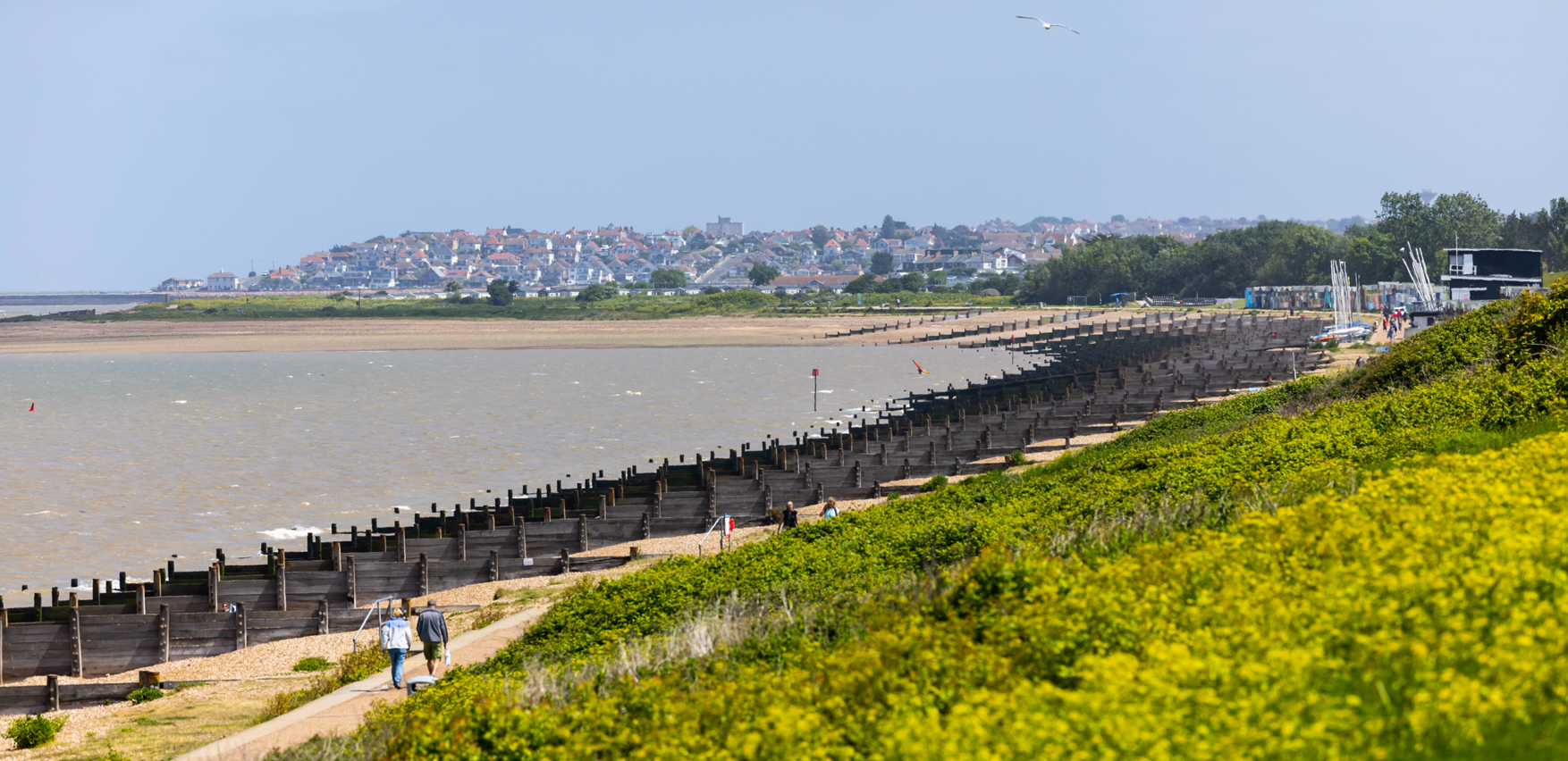 A wide shot of Tankerton beach and its numerous groynes