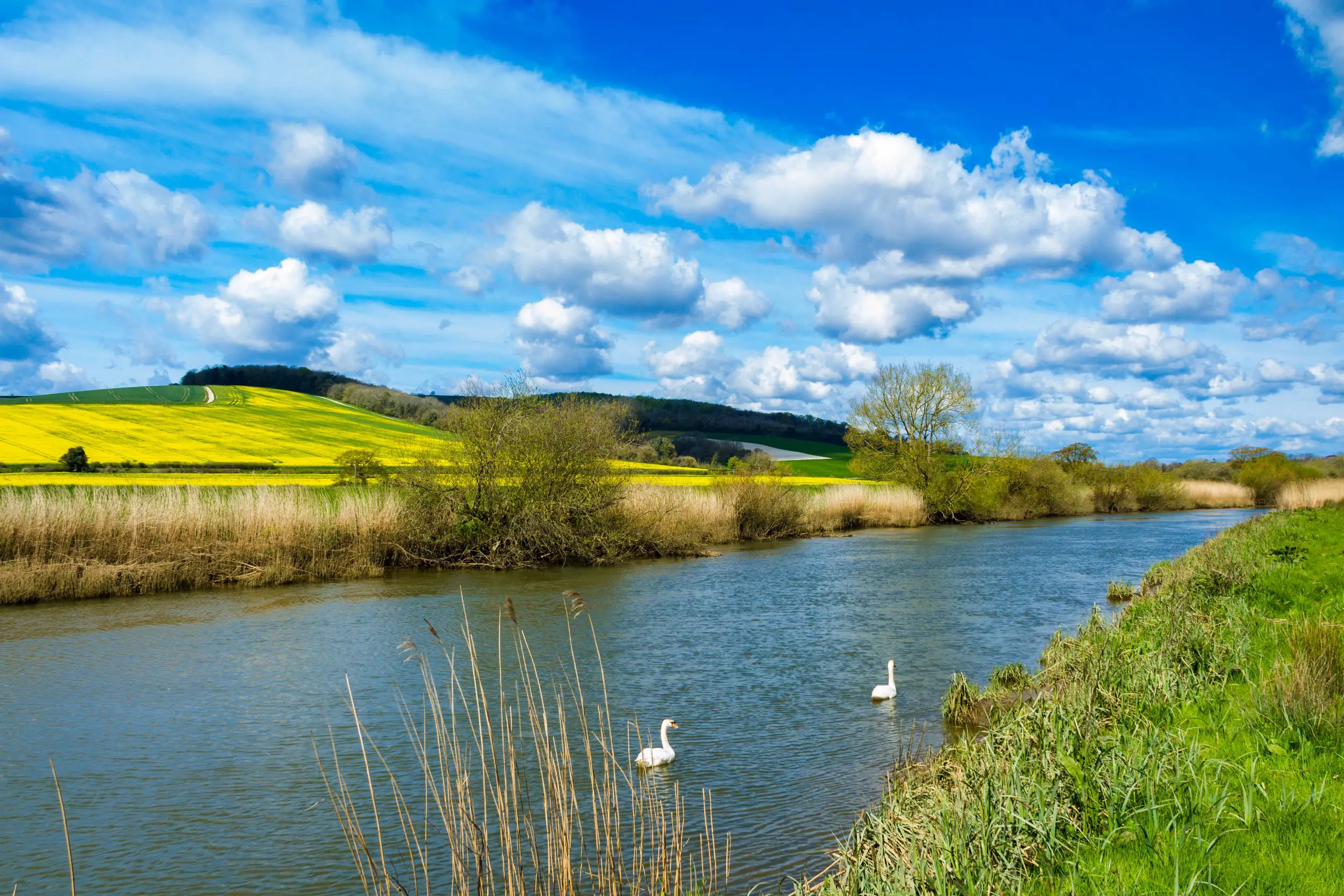 River Arun Amberley West Sussex