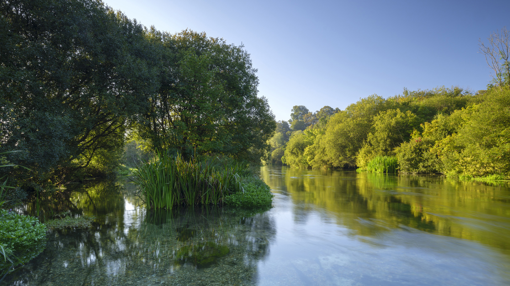 image of a river in spring