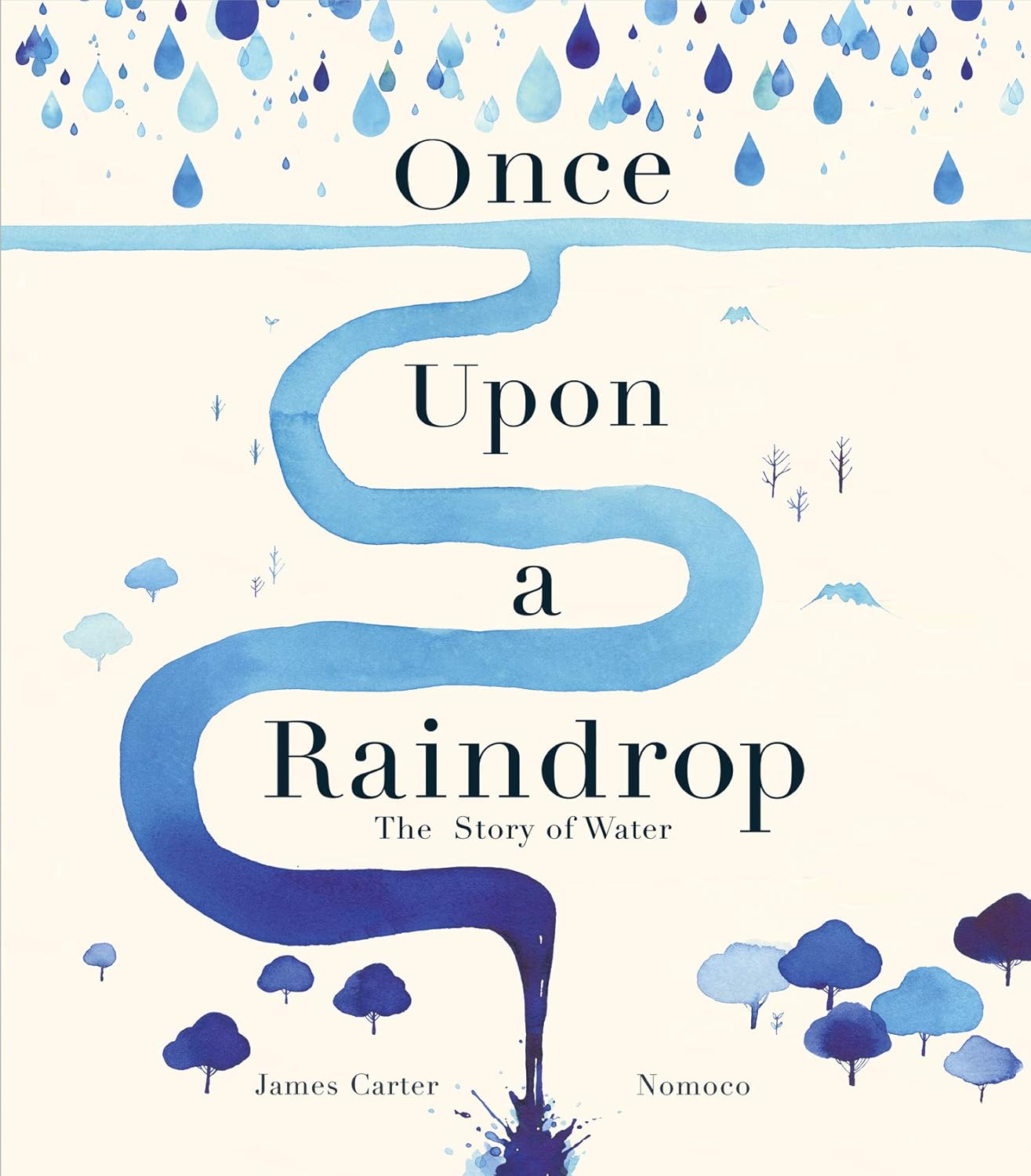 Once Upon A Raindrop book by James Carter
                        