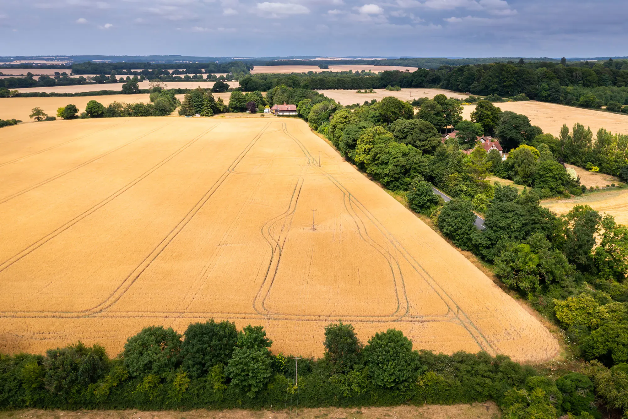 Arial view of farmland