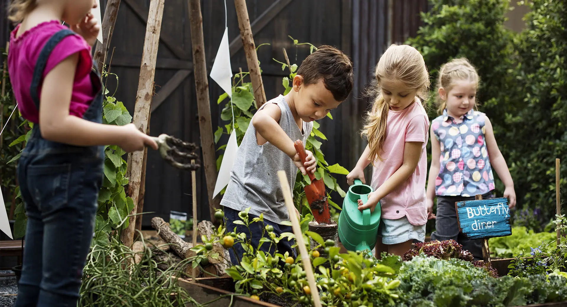 Four young children plant and water plants in a kitchen garden
